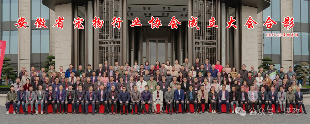 寵都平臺(tái)成為安徽省寵物行業(yè)協(xié)會(huì)理事單位，開啟寵物產(chǎn)業(yè)新征程